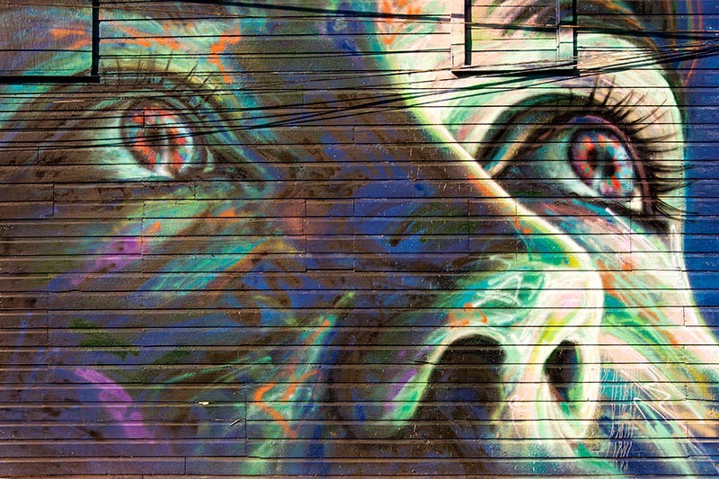 Eyes