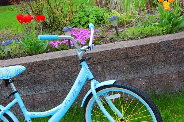 Kate Buckley Saturated Color