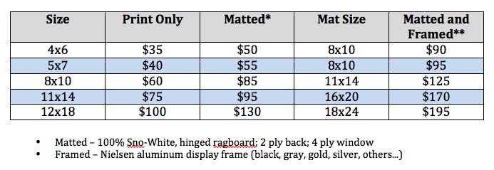 Pricing