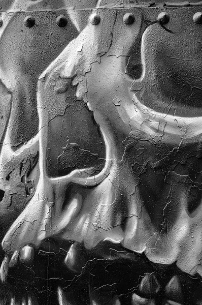 Skull