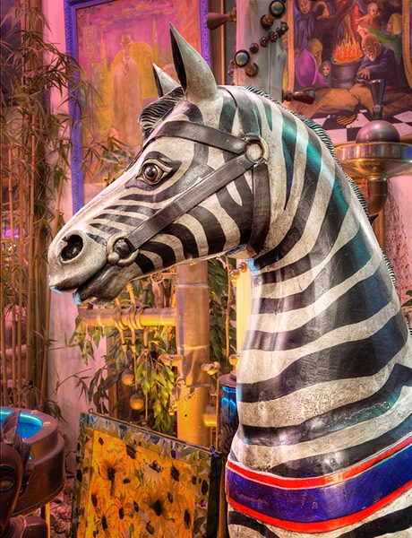 Zebra