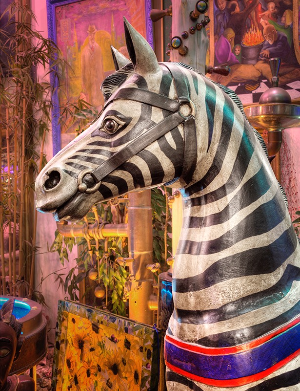 Zebra